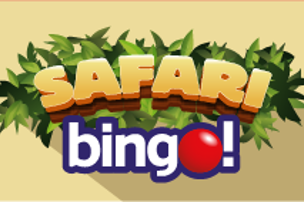 Safari Bingo