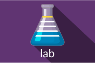 Lab