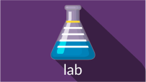 Lab